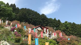 五大尊花木公園つつじ祭り