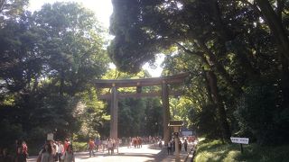 大きな木造の鳥居