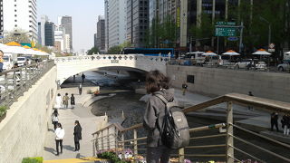 都心にあり、散策できます