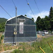 ビニールハウス横が山田屋さん専用の駐車場です。