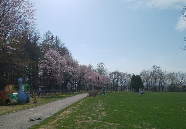 桜の季節がオススメです。