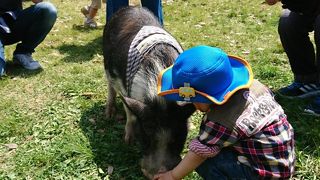 ゴールデンウィークはめちゃ混んでました！