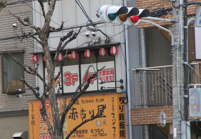 おススメは赤ちり鉄板焼きです
