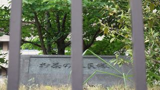 東京医科歯科大学病院の敷地内にあります