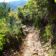 熊野古道　赤木越え