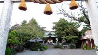 荘厳な雰囲気が漂う神社