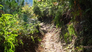 熊野古道　赤木越え