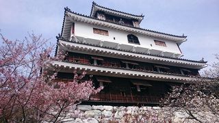 天守閣からの眺めは素晴らしいです