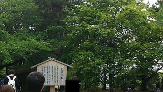 巨大な天守を支えていた石