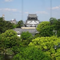 目の前は「岡崎公園」、左手には乙川が見えました