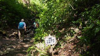 6号路が一番楽かも