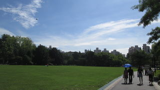 さまざまな表情を持つ公園