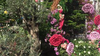 フォトスポットに