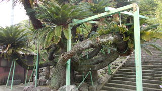 天満宮の階段入り口の脇にあります。