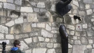 思っていたより大きい男