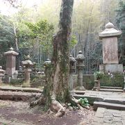 臨済宗大徳寺派の寺院です。