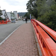 霧島神宮の参道