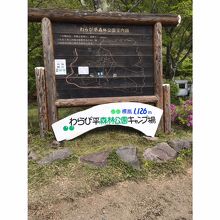 わらび平森林公園キャンプ場