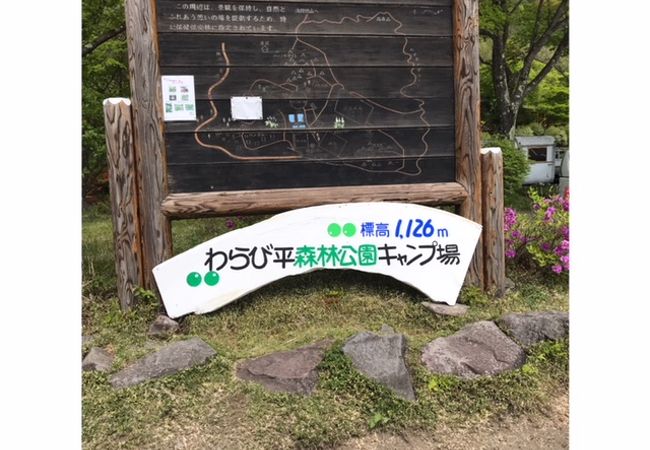 わらび平森林公園キャンプ場