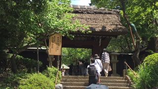 茅葺屋根で地味な感じ