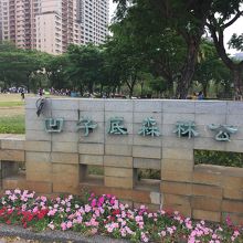 街中にあるちょっと広めの普通の公園