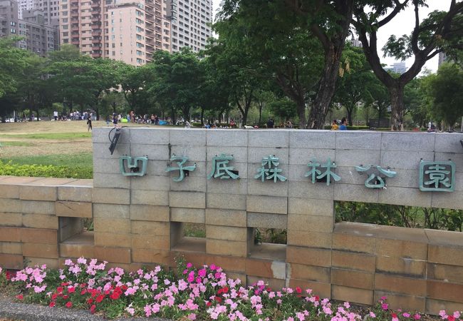 MRT凹子底森林公園を出るとすぐに広い公園につながっている