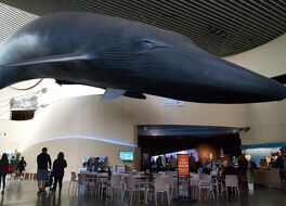 パシフィック水族館