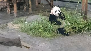 野生動物園