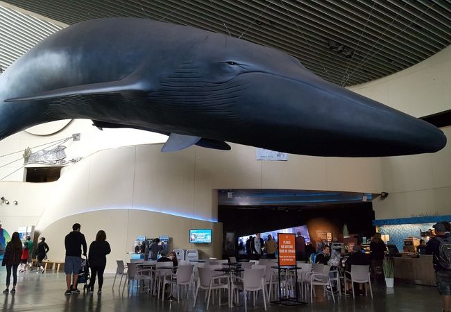 パシフィック水族館