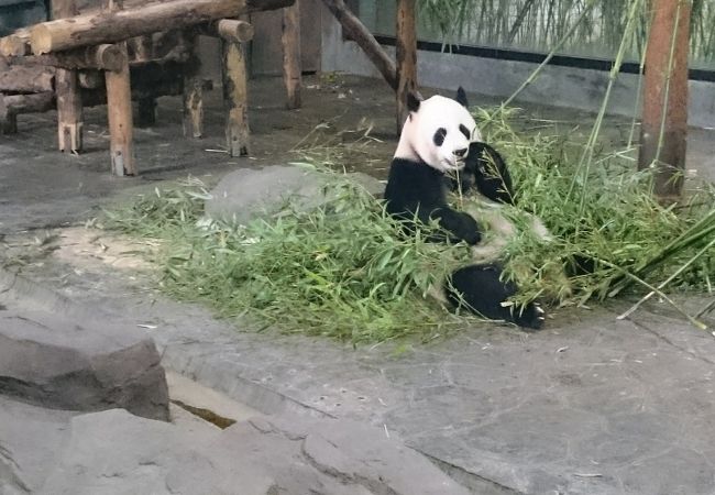 野生動物園