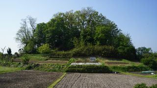 関東地方でも第3位の規模