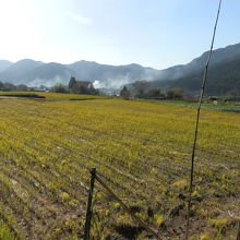 見渡すかぎり大原の里です。