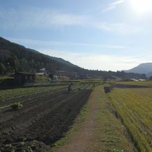 ここ大原には日本の原風景が残っています。