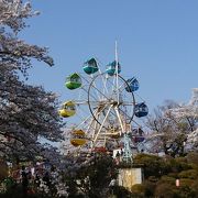 レトロな小さな遊園地