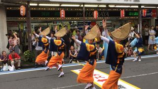 神奈川大和阿波おどり