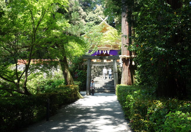 京へ出るまでの賀茂一族の守護神社