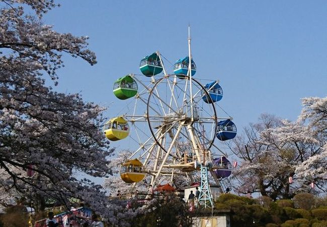 レトロな小さな遊園地