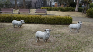 西オーストラリア州ベルモント市との友好親善のシンボル