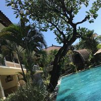 部屋のすぐ目の前がプール