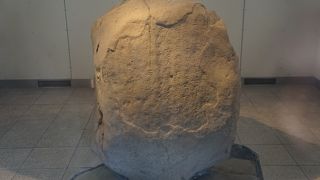 だるまさんのようなどっしり感です