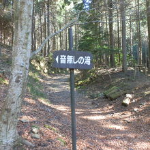 「音無し滝」の道標です。緩やかに登って行きます。