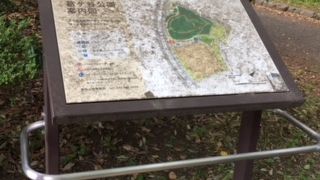 自然豊かな公園