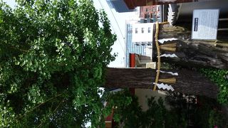 生命のエネルギーを感じる