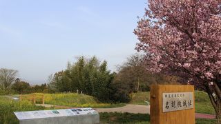 確かに攻め落とすのは難しそう