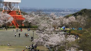 春は桜の名所でした