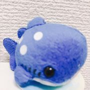 品揃え抜群