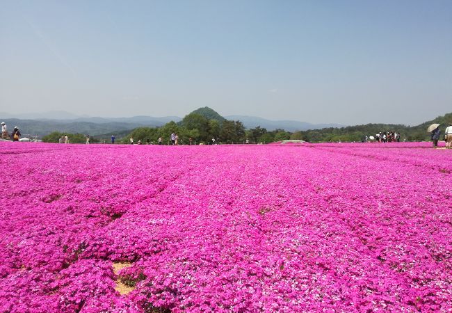 Flower Village 花夢の里 クチコミ アクセス 営業時間 世羅 フォートラベル Flower Village 花夢の里 クチコミ アクセス 営業時間 世羅 フォートラベル