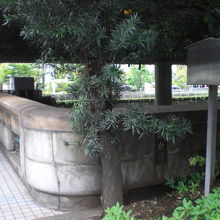 鎌倉橋の鎌倉交差点側の親柱です。鎌倉河岸の解説板もあります。