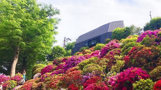 インスタ映え神社