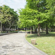 中山駅エリアメールにある綺麗な公園